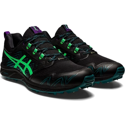 Asics Fujisetsu gtx