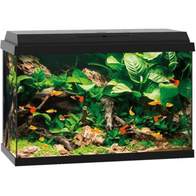 Primo 70 Akvarium Svart 2.0