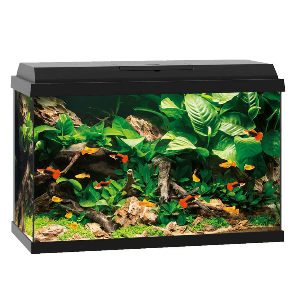 Primo 70 Akvarium Svart 2.0
