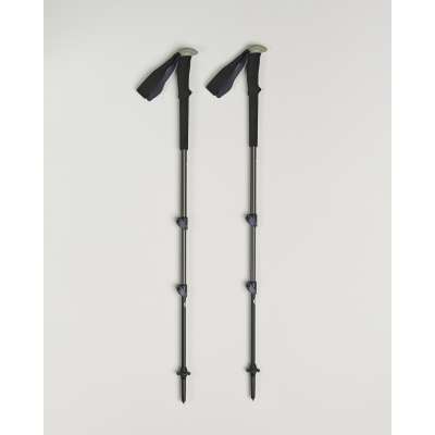 Black Diamond Trail Trekking Poles Pine Smoke