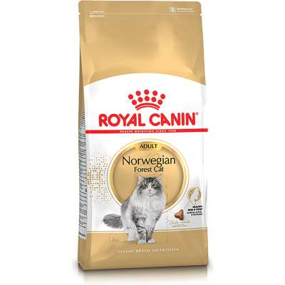 Royal Canin Norwegian forest Adult