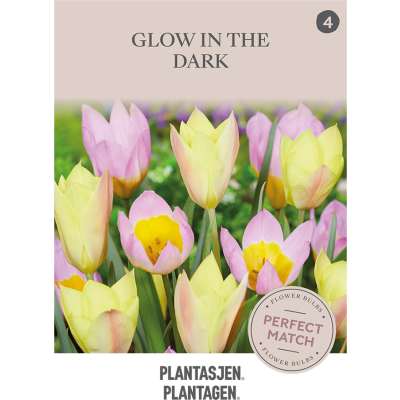 Tulipanmiks Glow in the Dark